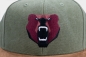 Preview: Waldbär Snapback